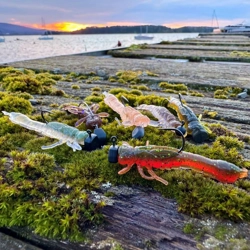 Westin Odonata NED Creaturebaits 6.5cm